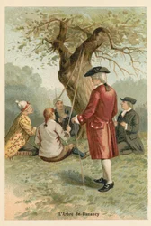 The Tree of Buzancy